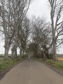 The Dark Hedges, an avenue of twisted bare beech trees arching over a quiet road in Northern Ireland