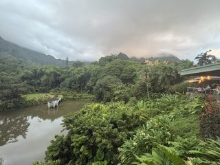 Misty green mountains above a still jungle pond and dense tropical plants on Oahu, Hawaii