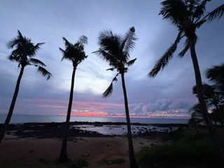 Tall palm trees silhouetted against a pink and purple sunset over the water on Oahu's North Shore, Hawaii