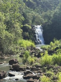 Waimea Falls pouring into a rocky jungle stream surrounded by lush greenery on Oahu, Hawaii