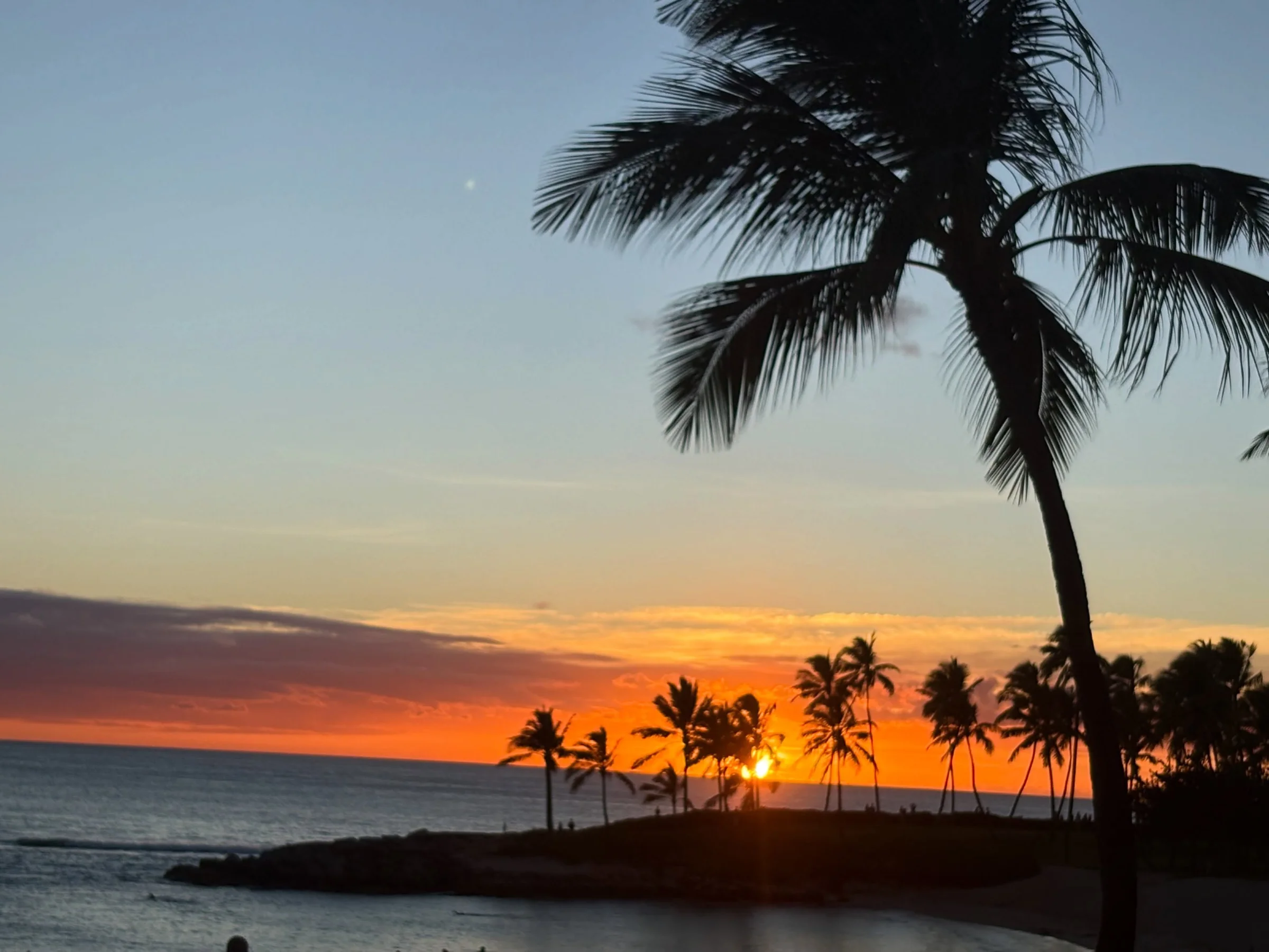 Palm trees silhouetted against a bright orange sunset over the ocean in Hawaii
